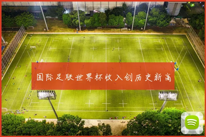 国际足联世界杯收入创历史新高