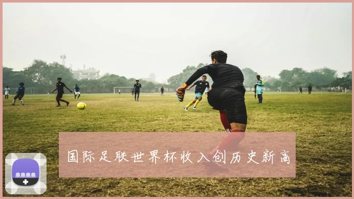 国际足联世界杯收入创历史新高